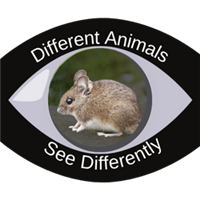 Night Vision Badge Badge