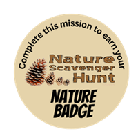 badge